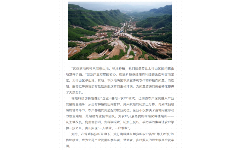 北藥賦能雙戰略！太行閑置山地生金，讓中醫藥扎根惠民